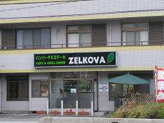 ZELKOVA