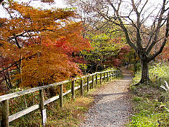 遊歩道